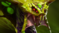 《DOTA2》6.84更新日志