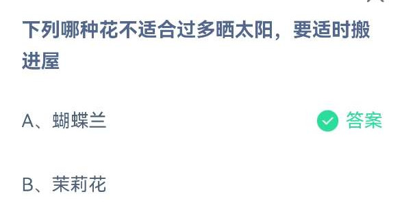 《蚂蚁庄园》列哪种花不适合过多晒太阳，要适时搬进屋 5月18日