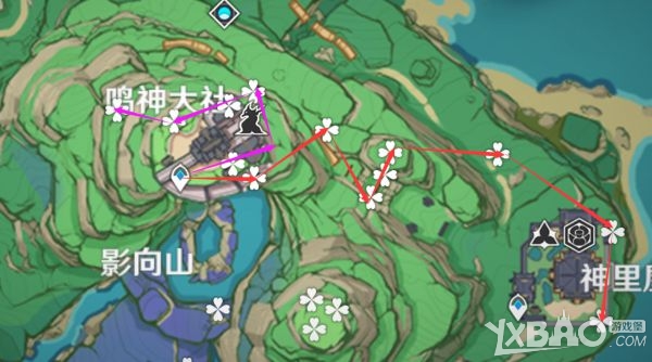 原神绯樱绣球快速采集路线