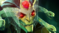 《DOTA2》6.84更新日志