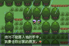口袋妖怪漆黑的魅影5.0图文攻略