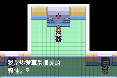 口袋妖怪漆黑的魅影5.0图文攻略