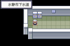 《口袋妖怪蛇纹木》二周目图文攻略