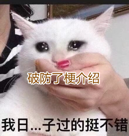 破防了是什么梗