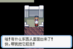 《口袋妖怪蛇纹木》二周目图文攻略