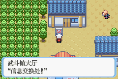 《口袋妖怪蛇纹木》二周目图文攻略