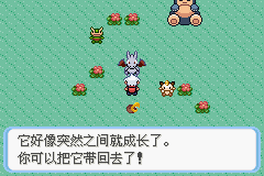 《口袋妖怪蛇纹木》二周目图文攻略