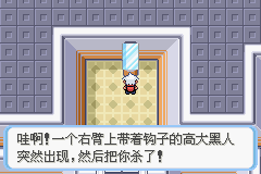 《口袋妖怪蛇纹木》二周目图文攻略