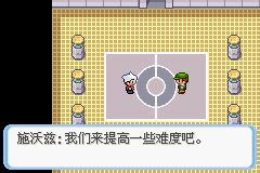 《口袋妖怪蛇纹木》二周目图文攻略