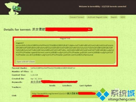 torrentkitty怎么打开？电脑打开torrentkitty的方法