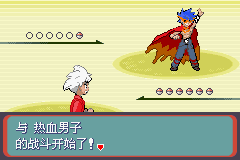 《口袋妖怪蛇纹木》二周目图文攻略