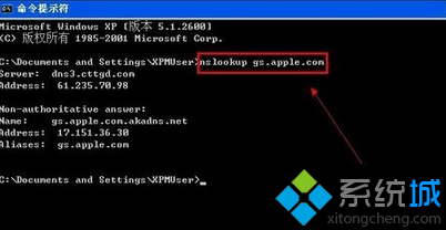 键入“nslookup gs.apple.com”