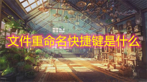 文件重命名快捷键是什么(文件夹重命名的快捷键是哪个)