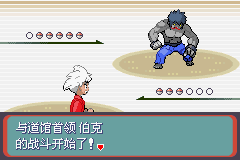 《口袋妖怪蛇纹木》二周目图文攻略