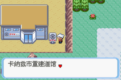 《口袋妖怪蛇纹木》二周目图文攻略