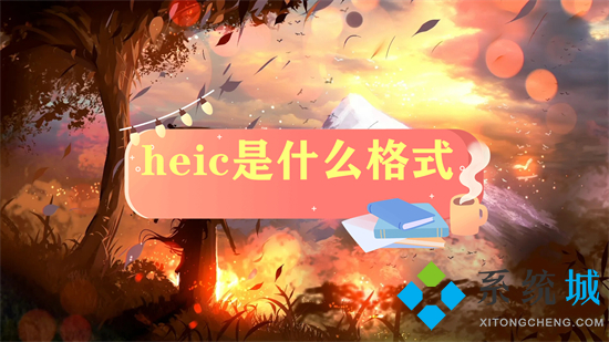 heic是什么格式(heic格式的具体介绍)