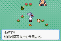 《口袋妖怪蛇纹木》二周目图文攻略