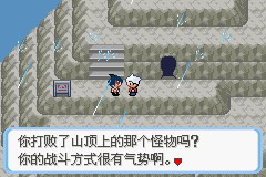 《口袋妖怪蛇纹木》二周目图文攻略