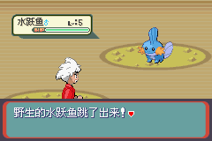《口袋妖怪蛇纹木》二周目图文攻略