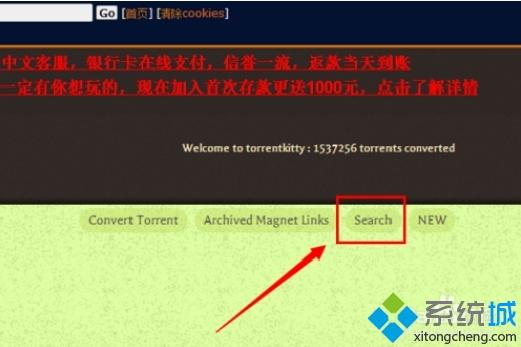 torrentkitty怎么打开？电脑打开torrentkitty的方法