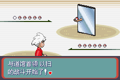 《口袋妖怪蛇纹木》二周目图文攻略