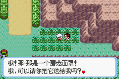 《口袋妖怪蛇纹木》二周目图文攻略
