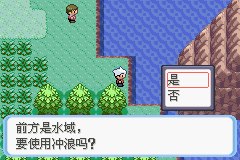 《口袋妖怪蛇纹木》二周目图文攻略