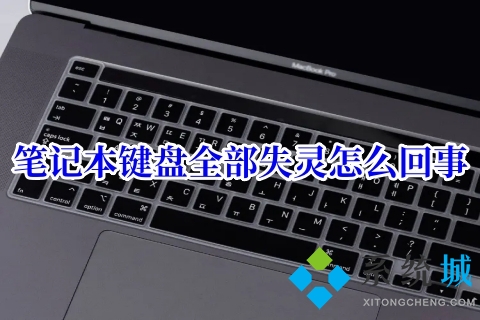笔记本键盘全部失灵怎么回事(笔记本键盘被锁住了的解决办法)