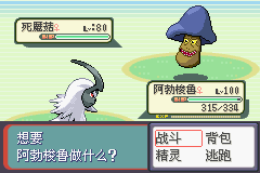 《口袋妖怪蛇纹木》二周目图文攻略