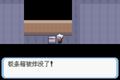 《口袋妖怪蛇纹木》二周目图文攻略