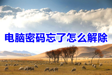 电脑密码忘了怎么解除(电脑密码忘了的解除方法介绍)