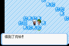 《口袋妖怪蛇纹木》二周目图文攻略