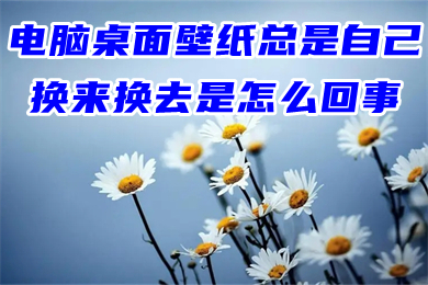 电脑桌面壁纸总是自己换来换去是怎么回事