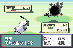 《口袋妖怪蛇纹木》二周目图文攻略