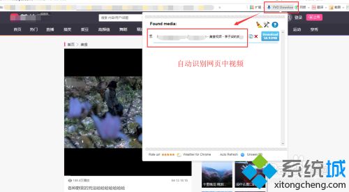 网页内视频怎么下载_如何下载浏览器里的视频
