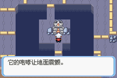 《口袋妖怪蛇纹木》二周目图文攻略