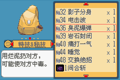 《口袋妖怪蛇纹木》二周目图文攻略