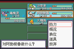 《口袋妖怪蛇纹木》二周目图文攻略