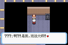 《口袋妖怪蛇纹木》二周目图文攻略