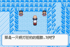 《口袋妖怪蛇纹木》二周目图文攻略