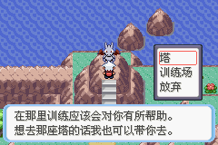 《口袋妖怪蛇纹木》二周目图文攻略