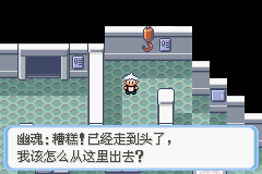 《口袋妖怪蛇纹木》二周目图文攻略