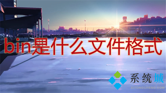 bin是什么文件格式(bin文件是干嘛的)