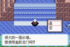 《口袋妖怪蛇纹木》二周目图文攻略