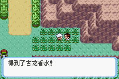 《口袋妖怪蛇纹木》二周目图文攻略