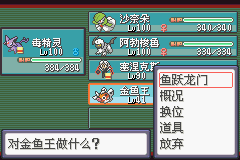 《口袋妖怪蛇纹木》二周目图文攻略