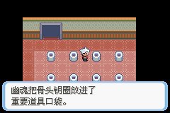 《口袋妖怪蛇纹木》二周目图文攻略