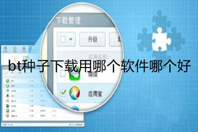 bt种子下载用哪个软件哪个好(bt种子下载好用的软件推荐)