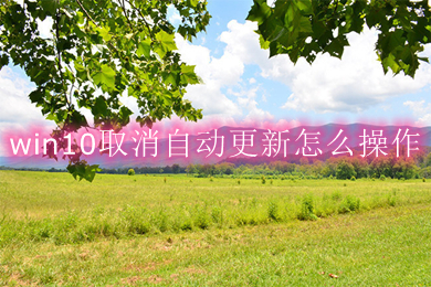 win10取消自动更新怎么操作(win10取消自动更新的多