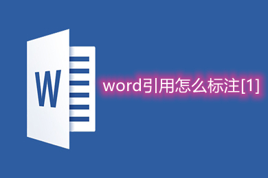 word引用怎么标注[1](word怎么引用参考文献)
